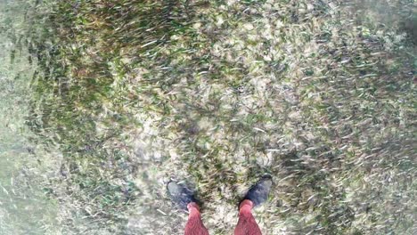 Standing-on-sea-grass-and-the-beach-of-Mahahual-in-Mexico