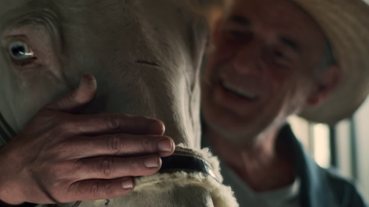 Senior Man Bonding with a Horse