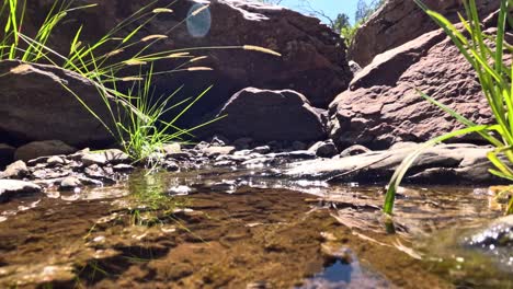 transition from underwater view to scenic riverbank