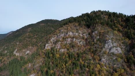 colorful foliage of mountain range covered by forests with pines and bushes in autumn