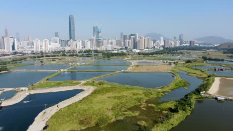 深圳天际线 中国大陆从香港洛克马乔村地区看