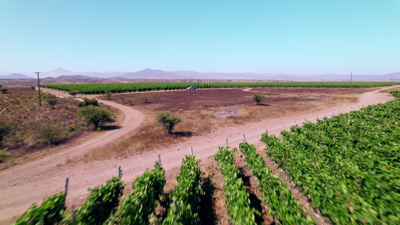 un impresionante recorrido aéreo por la región vinícola de chile en dron, descubra el terroir del valle de limari, los campos de uva