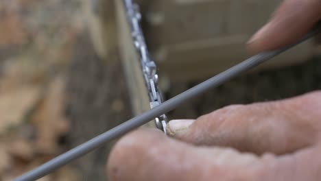 chainsaw tooths preparing for wood cutting