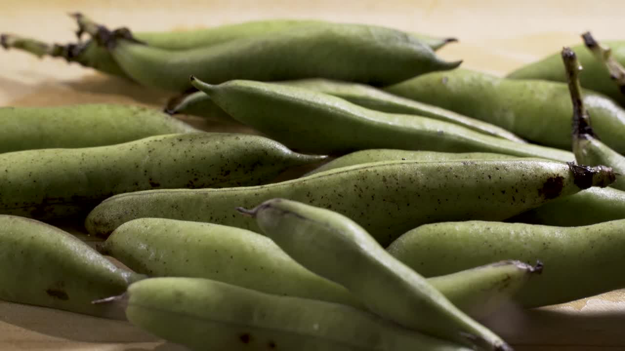 Fava Bean Pods