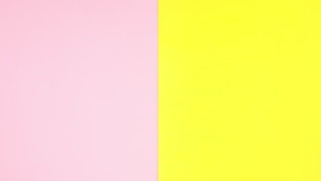 el secador de pelo y dos cepillos de pelo aparecen en el tema amarillo rosa. detenga el movimiento