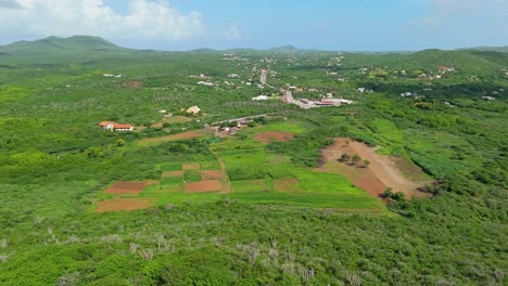 Aerial-orbit-around-farmland-in-Westpunt-valley-tropical-island-of-Curacao