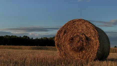 lapso de tiempo de las balas de heno en la granja de campo agrícola orgánica natural verde durante las horas doradas del atardecer