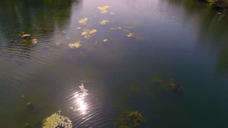 aerial view of a river surrounded by colorful trees