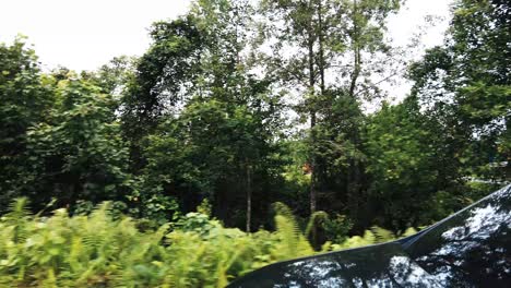 beautiful view drive along sempadi lundu coastal road with green forest and mountain,sarawak,borneo.