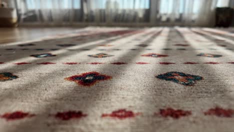 close-up of a patterned rug in a sunlit room