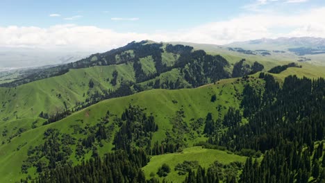 vast grasslands and mountains in a fine day.