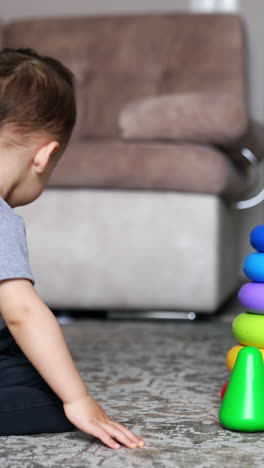 lovely kid disassembles colorful toy pyramid sitting on the floor. black cat sit nearby watching the boy. vertical video