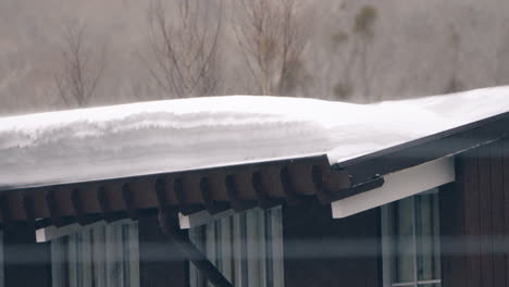 copos de nieve cayendo sobre el techo con fuertes nevadas en el campo