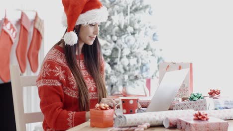 Smiling-young-woman-surfing-for-Christmas-bargains