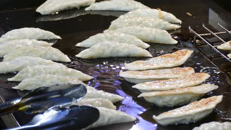 gyoza fritto in padella in stile giapponese