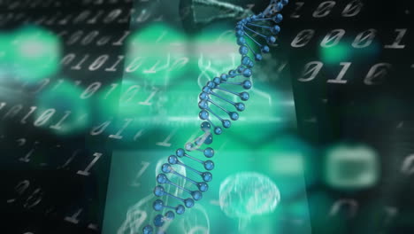 dna structure spinning over screens on medical data processing against binary coding