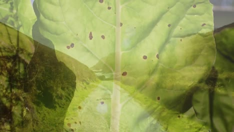 산의 풍경 위에 있는 초록색 잎의 애니메이션