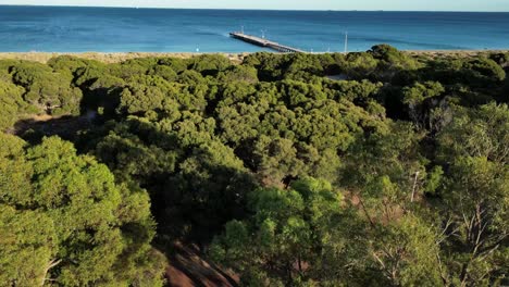 aerial flyover parking area, forest landscape, dunes, sandy beach and ocean in western australia