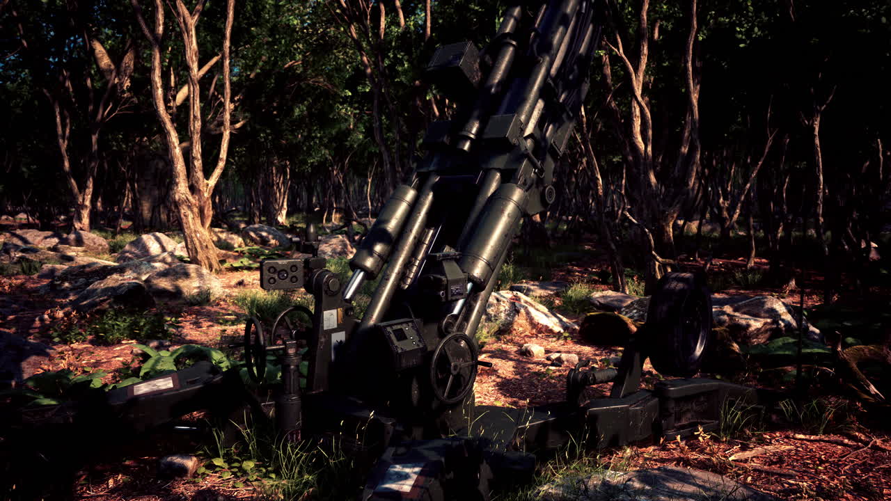 숲 속의 큰 대포