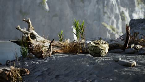 an old torn soccer ball thrown lies on sand of sea beach