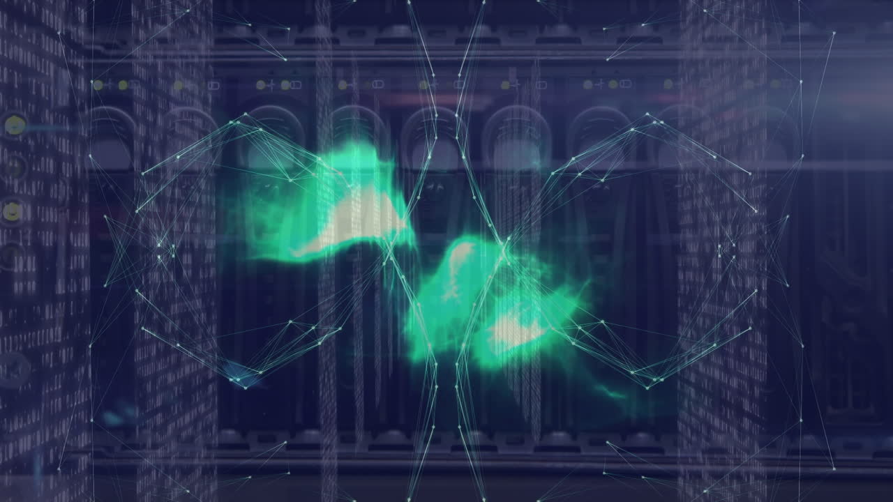 연결 네트워크의 애니메이션과 서버  ⁇ 을 통한 데이터 처리