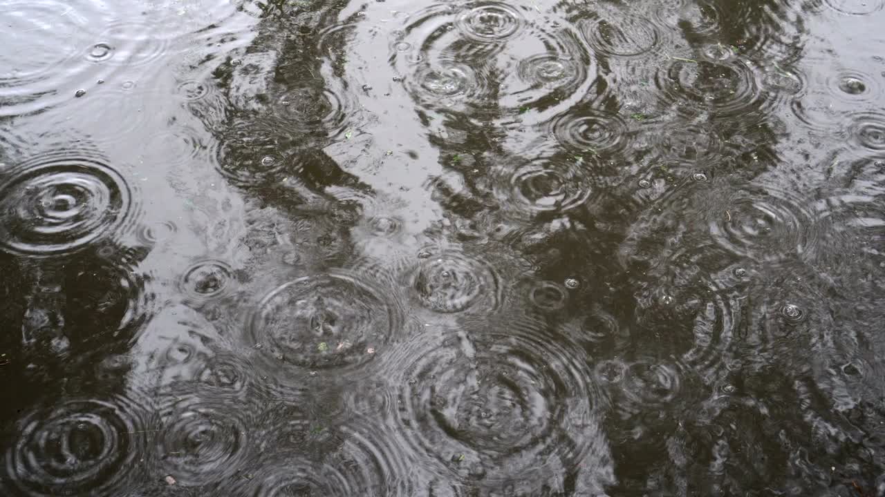 물이 어나오는 웅이의 표면 물 위에서 물방울과 거품이 아져 나옵니다. 은 가을의 날에 도시에서 비가 내립니다. 가까이 가십시오. 보기. 4k.