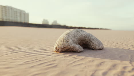 beach scene with coral rock