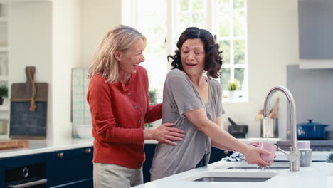 loving same sex mature female couple doing washing up in kitchen together