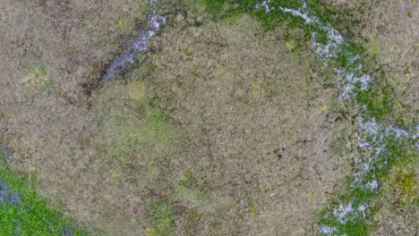 Luftdrohnenaufnahme-Von-Oben-Nach-Unten,-Die-über-Aufgetauten-Tundra-Permafrost-In-Der-Nähe-Der-Arktis-In-Barrow,-Alaska,-Mit-Gras-Und-Wasser-Fliegt