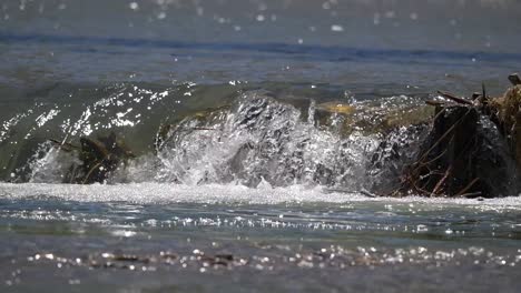 Cacerola-Lenta-Cerca-De-La-Corriente-De-Agua-Dulce-Que-Fluye-Con-Las-Rocas-En-Verano