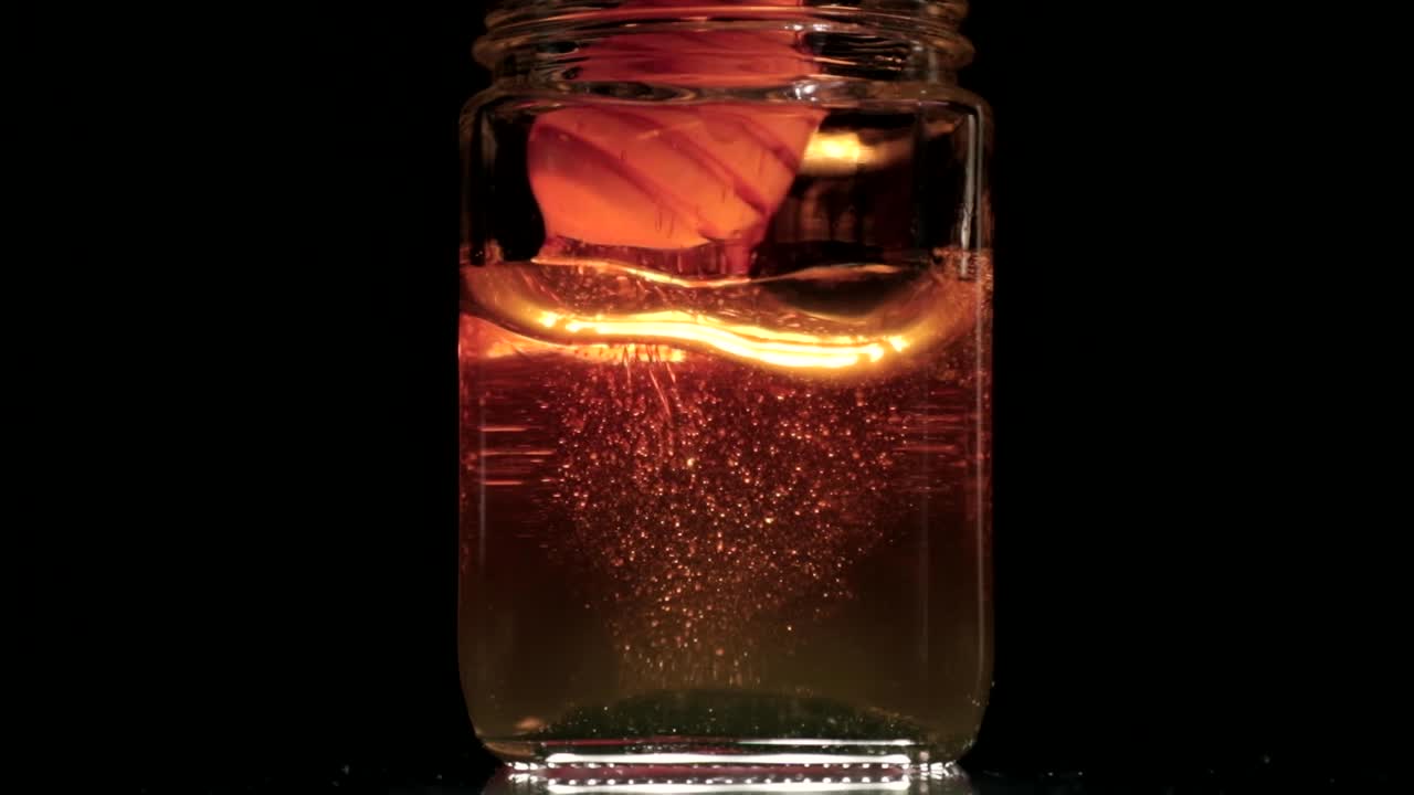 primer plano de miel en cámara lenta