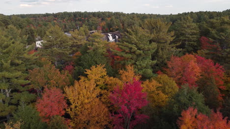 flying-over-vibrant-coloured-trees-tops-revealing-beautiful-waterfall-feeding-lake