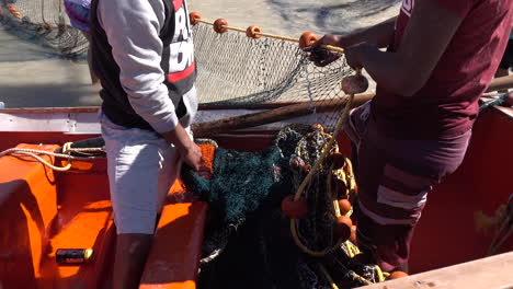 Net-fishing-in-false-bay