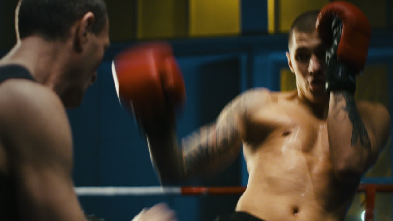 권투 훈련 세션