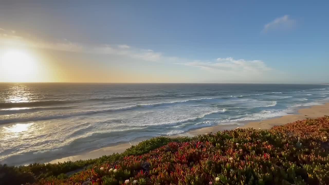 캘리포니아 해안선