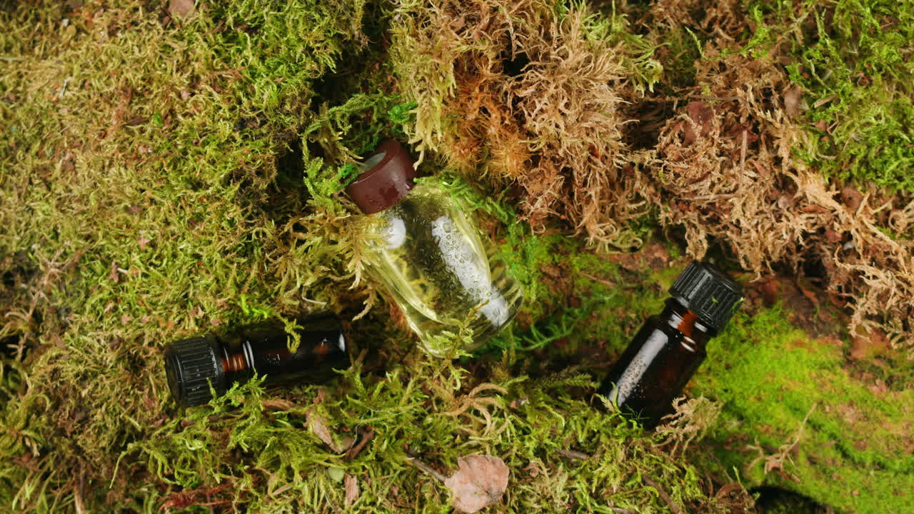 Bottle of cosmetics cream serum on moss forest background green leaves. Woman Make up healthy natural products.