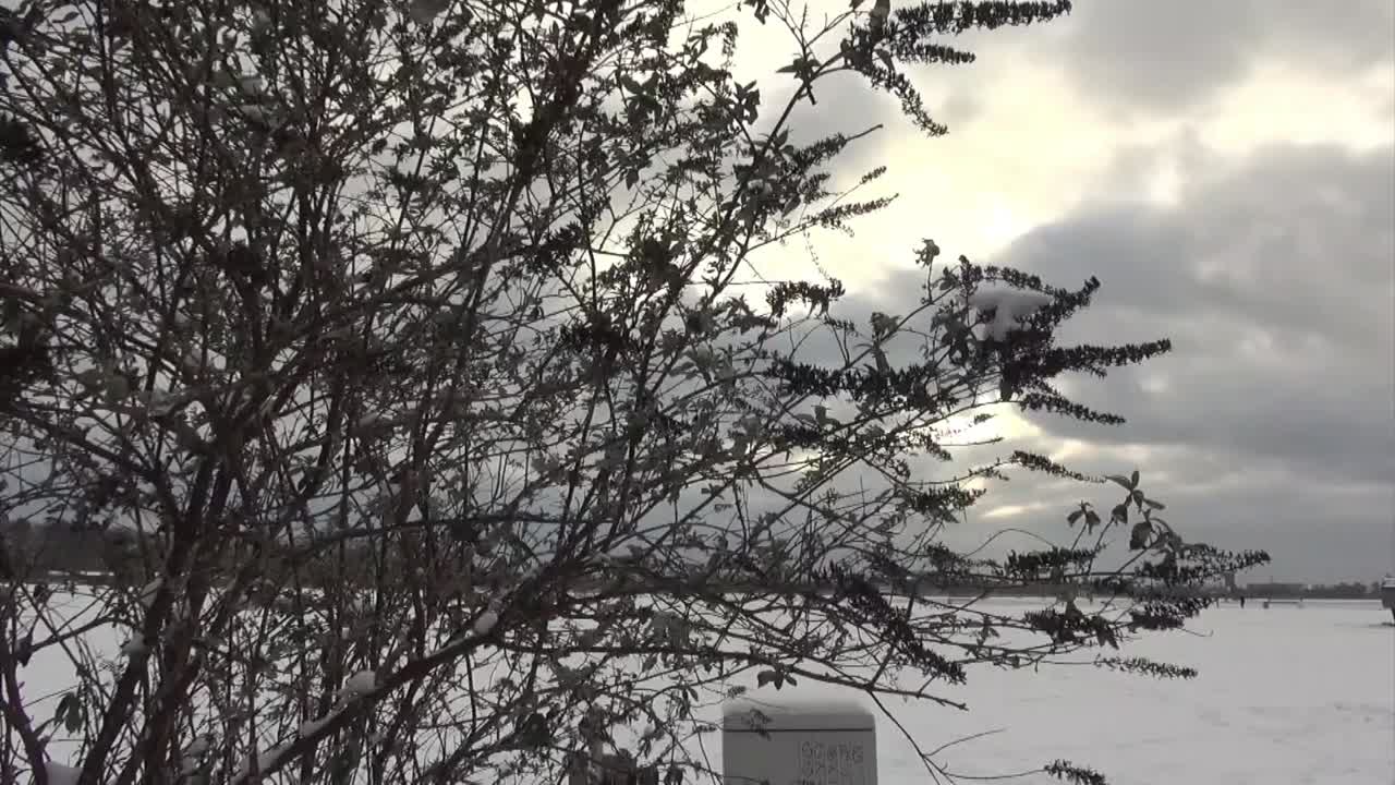 나무에서 불어오는 바람 템플호프 아이포트 베를린 겨울 hd 25fps 5secs