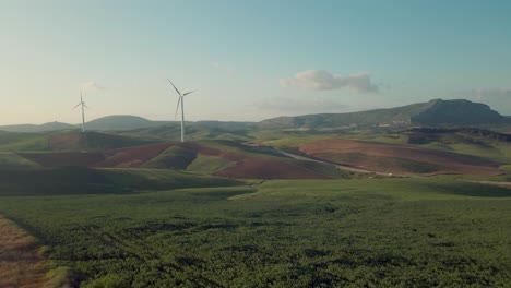 Drohne-Bewegt-Sich-über-Ein-Maisfeld-Mit-Windkraftanlagen-Im-Hintergrund