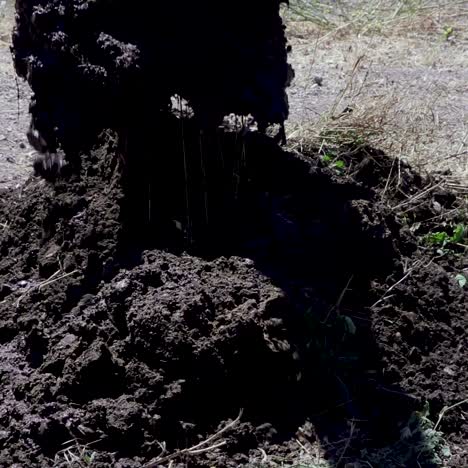 Tractor-Retroexcavadora-Desenterrando-Una-Línea-De-Agua-Con-Fugas-En-Un-Día-Caluroso-1