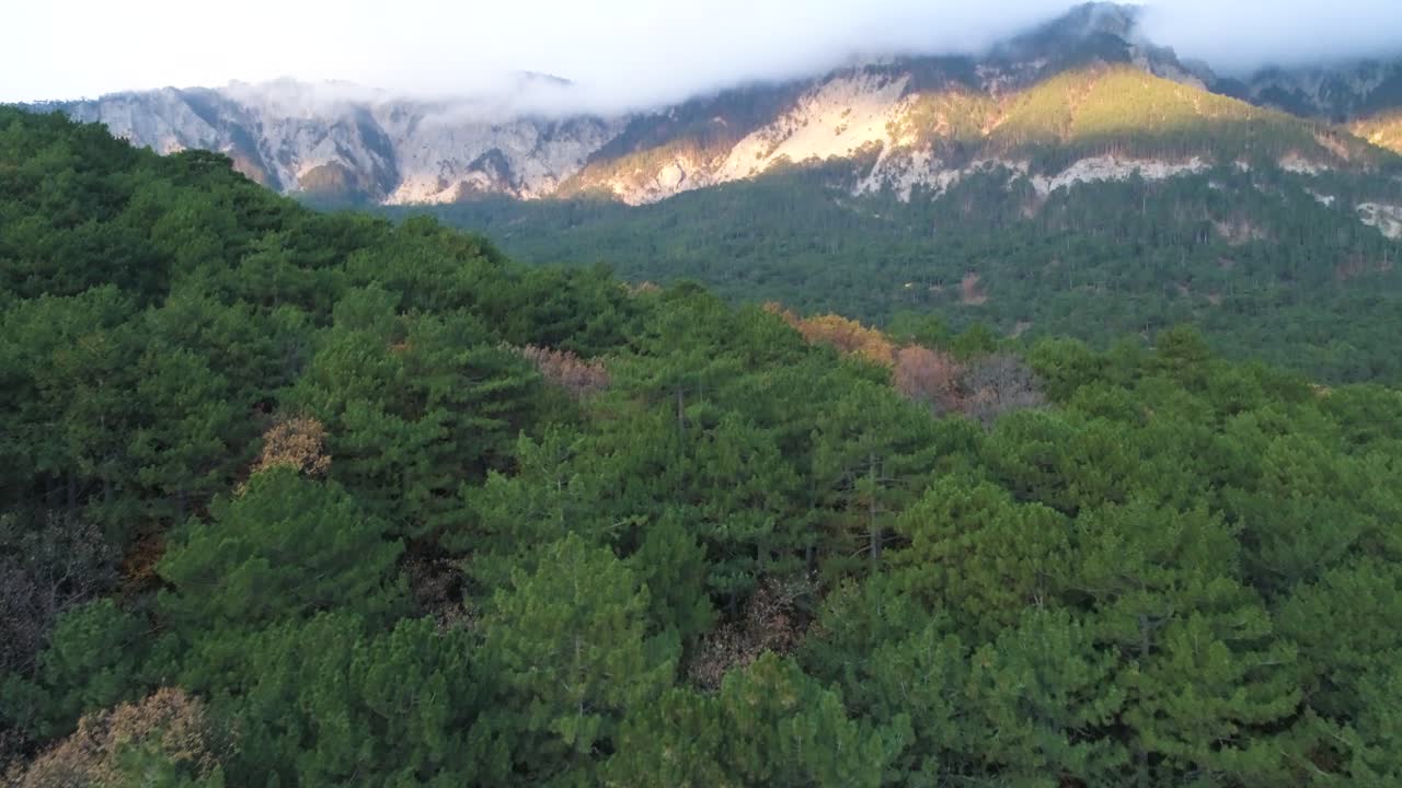 Autumn Mountain Forest Landscape