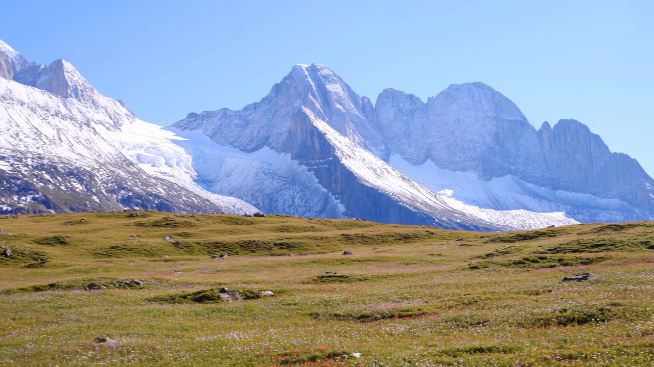 Alpine Meadow With Snow Capped Peaks Under Clear Blue Sky, Expansive Glacier Descending From Rugged Ridges,