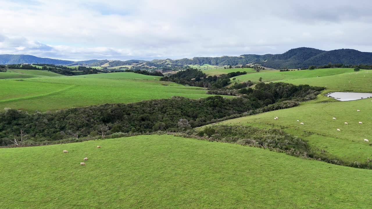 Drone slowly glides over lush farmland with sheep, distant hills, cloudy sky, and natural light
