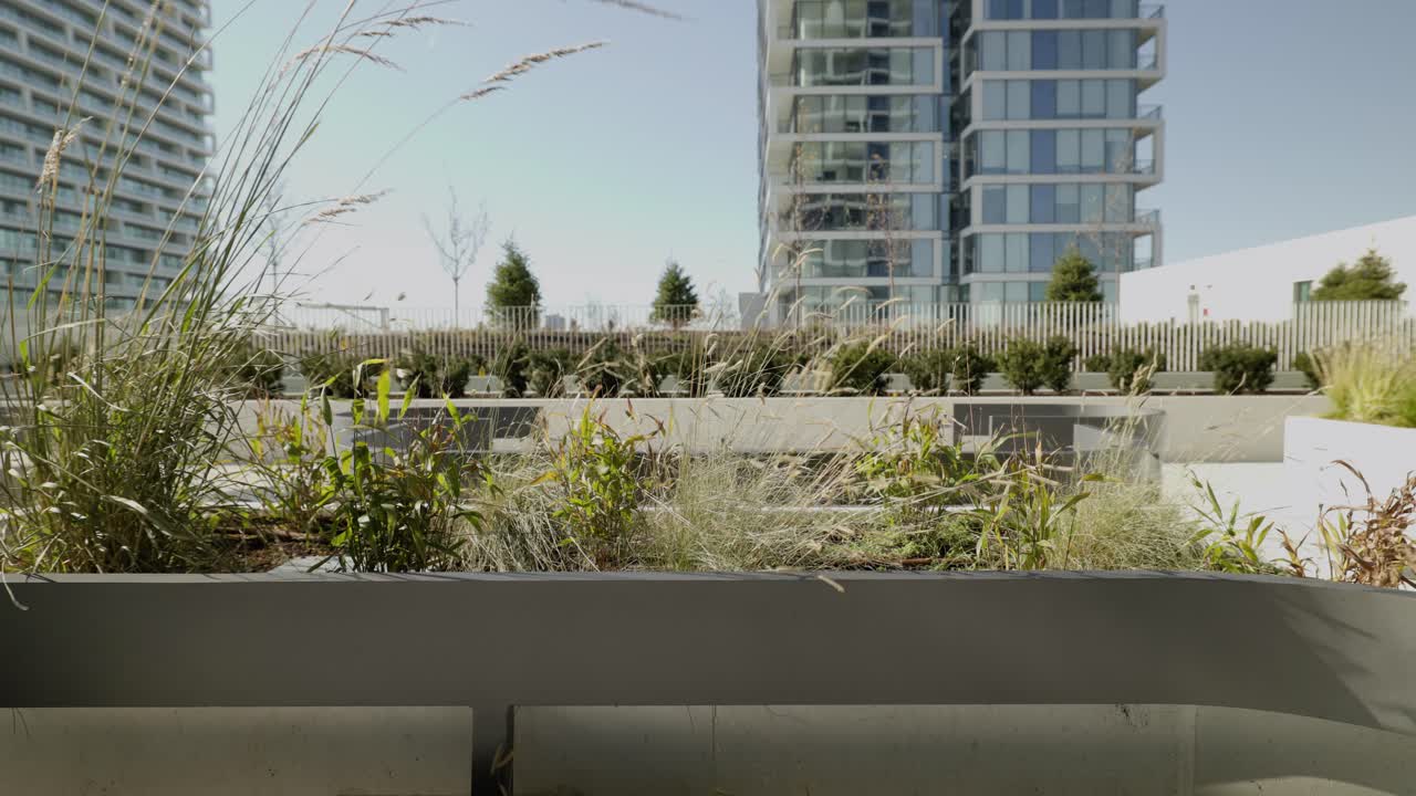 Rooftop patio with planters and seating area. High-rise apartment skyline with blue skies