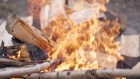 Tagsüber-Brennendes-Lagerfeuer-In-Zeitlupe