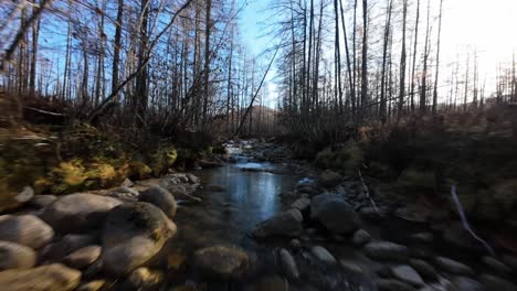 wander through the stunning rivers and ancient forests of yakutia, where the tranquil beauty of untouched nature unfolds under soft autumn sunlight and flowing waters.
