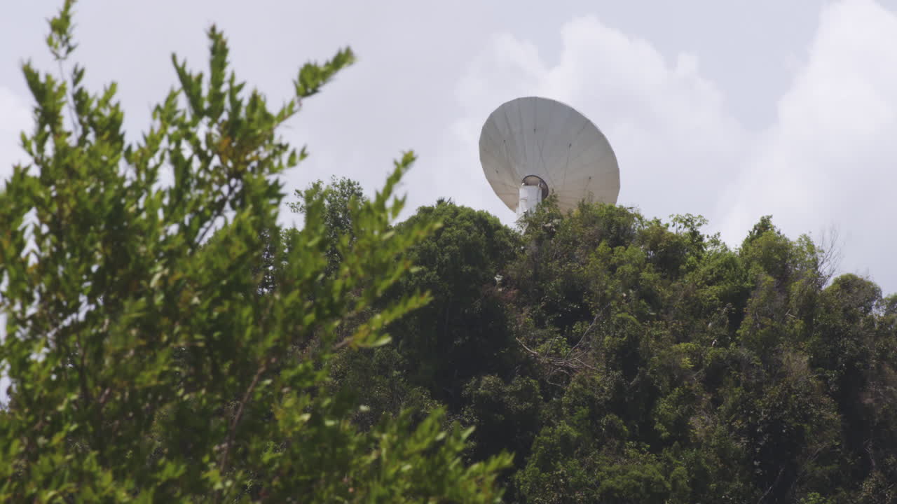 푸에르토리코의 아레시보 천문대 푸른 나무 한가운데 있는 위성 접시