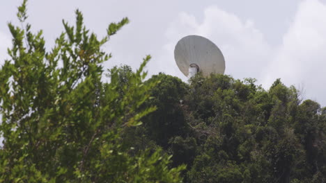 satellite dish in the midst of green trees at arecibo observatory in puerto rico