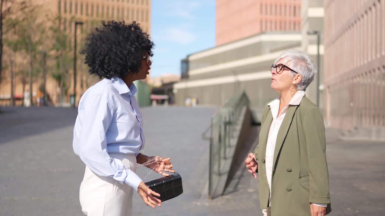 Two Businesswomen Discussing Outdoors