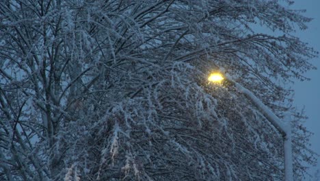 street light looses power during snow storm