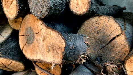 big round wood lying on the street